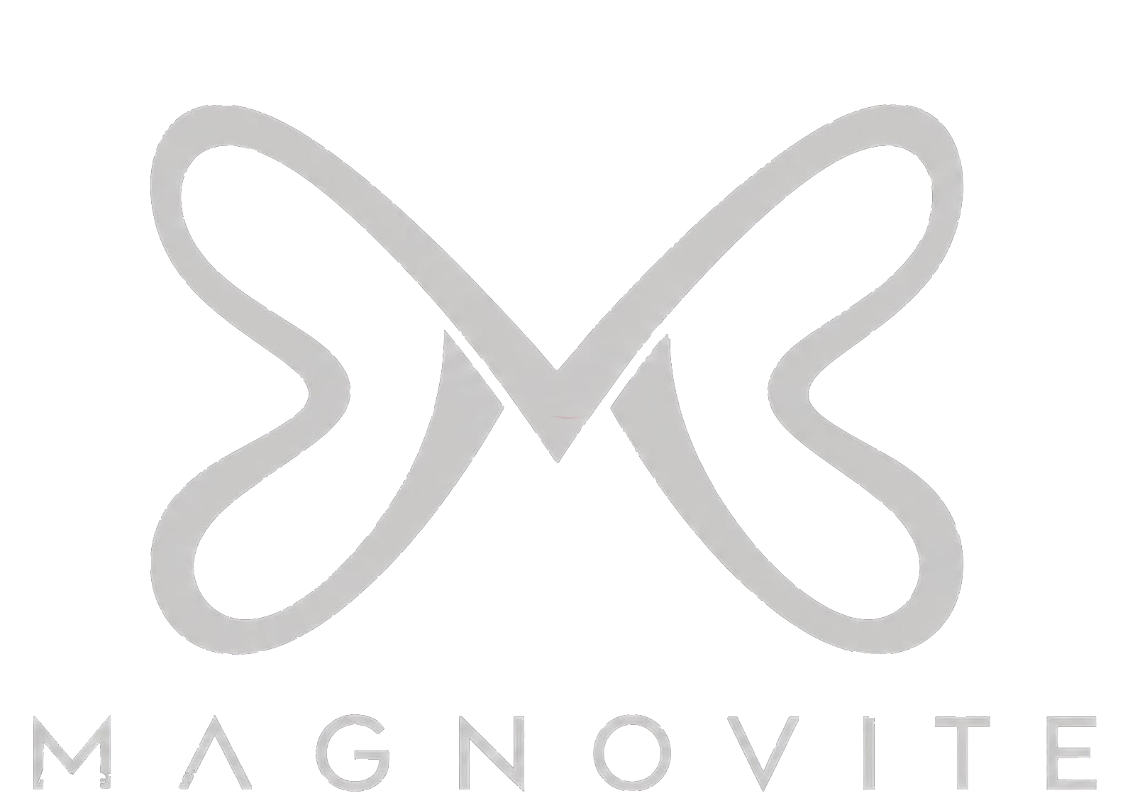 Magnovite '26